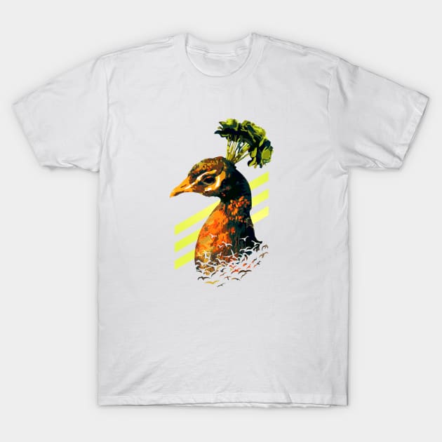 Peacock Sunrise T-Shirt by nippyer